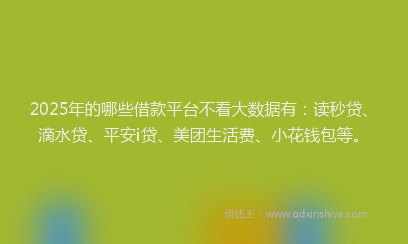 2025年的哪些借款平台不看大数据有：读秒贷、滴水贷、平安i贷、美团生活费、小花钱包等。