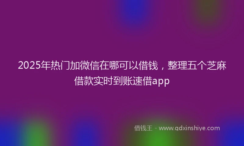 2025年热门加微信在哪可以借钱，整理五个芝麻借款实时到账速借app