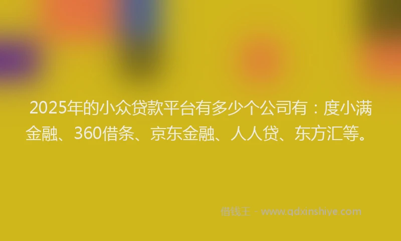 2025年的小众贷款平台有多少个公司有：度小满金融、360借条、京东金融、人人贷、东方汇等。