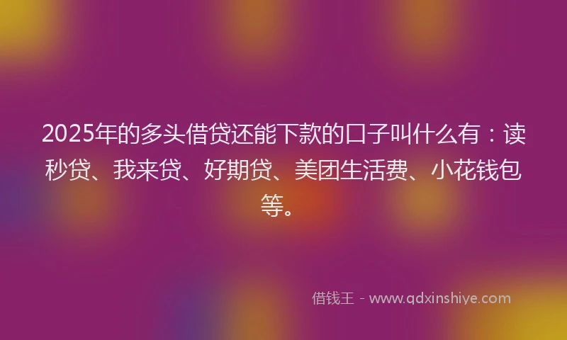 2025年的多头借贷还能下款的口子叫什么有：读秒贷、我来贷、好期贷、美团生活费、小花钱包等。