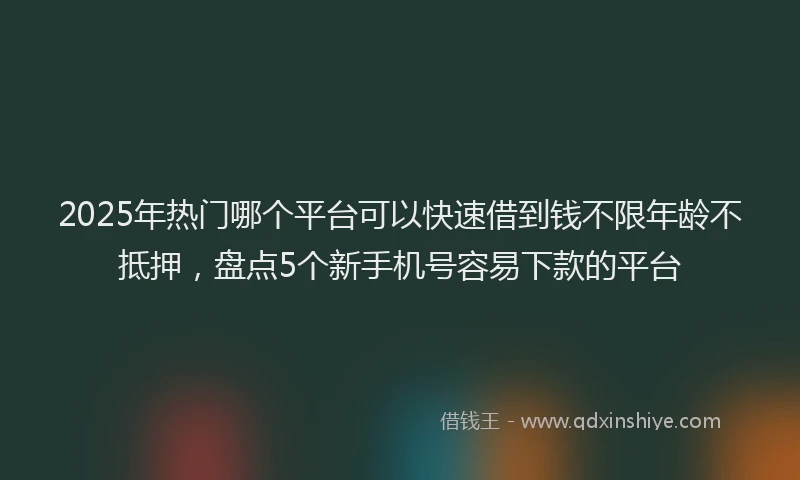 2025年热门哪个平台可以快速借到钱不限年龄不抵押，盘点5个新手机号容易下款的平台