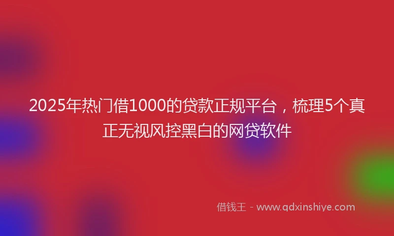 2025年热门借1000的贷款正规平台,梳理5个真正无视风控黑白的网贷软件