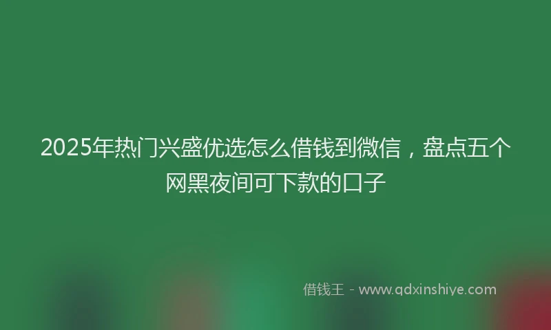 2025年热门兴盛优选怎么借钱到微信，盘点五个网黑夜间可下款的口子
