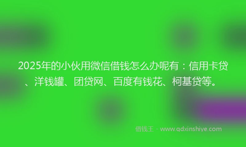2025年的小伙用微信借钱怎么办呢有：信用卡贷、洋钱罐、团贷网、百度有钱花、柯基贷等。