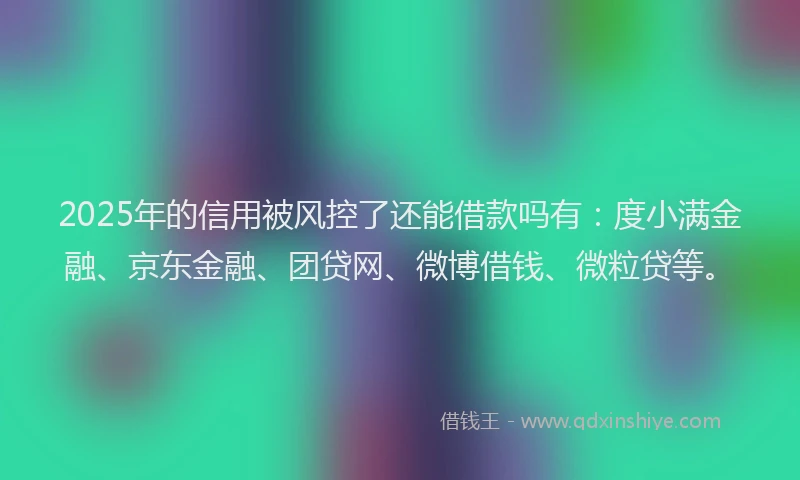 2025年的信用被风控了还能借款吗有：度小满金融、京东金融、团贷网、微博借钱、微粒贷等。