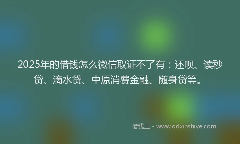 2025年的借钱怎么微信取证不了有：还呗、读秒贷、滴水贷、中原消费金融、随身贷等。