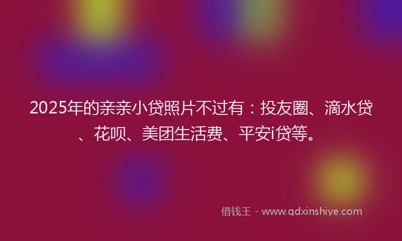 2025年的亲亲小贷照片不过有：投友圈、滴水贷、花呗、美团生活费、平安i贷等。
