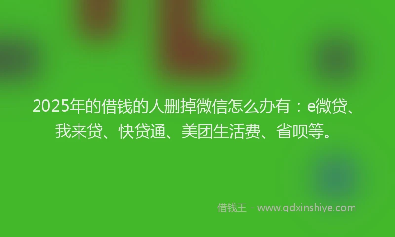 2025年的借钱的人删掉微信怎么办有：e微贷、我来贷、快贷通、美团生活费、省呗等。