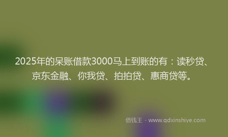 2025年的呆账借款3000马上到账的有：读秒贷、京东金融、你我贷、拍拍贷、惠商贷等。