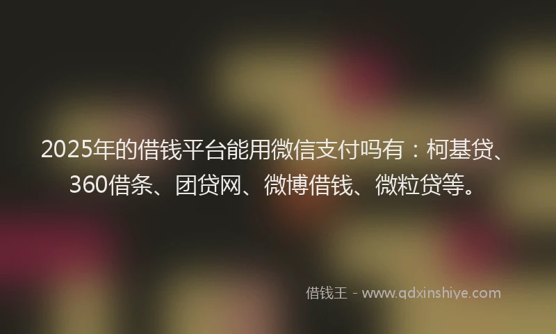 2025年的借钱平台能用微信支付吗有:柯基贷、360借条、团贷网、微博借钱、微粒贷等。