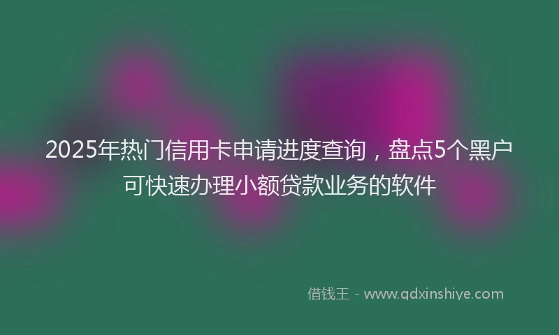 2025年热门信用卡申请进度查询，盘点5个黑户可快速办理小额贷款业务的软件