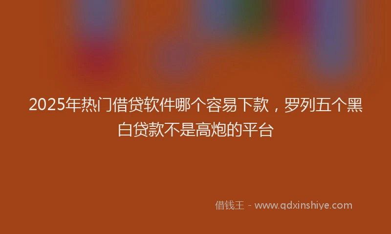 2025年热门借贷软件哪个容易下款，罗列五个黑白贷款不是高炮的平台