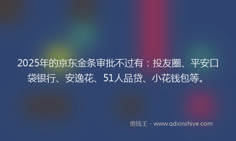 2025年的京东金条审批不过有：投友圈、平安口袋银行、安逸花、51人品贷、小花钱包等。