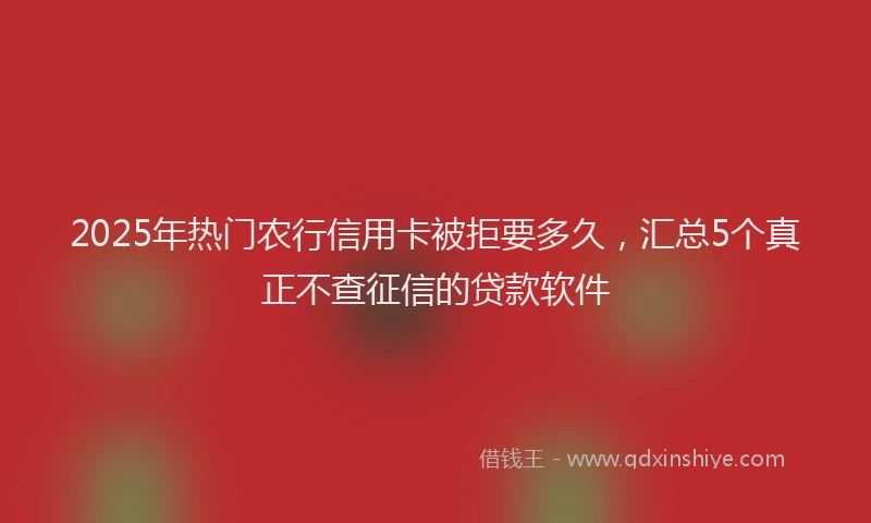2025年热门农行信用卡被拒要多久，汇总5个真正不查征信的贷款软件