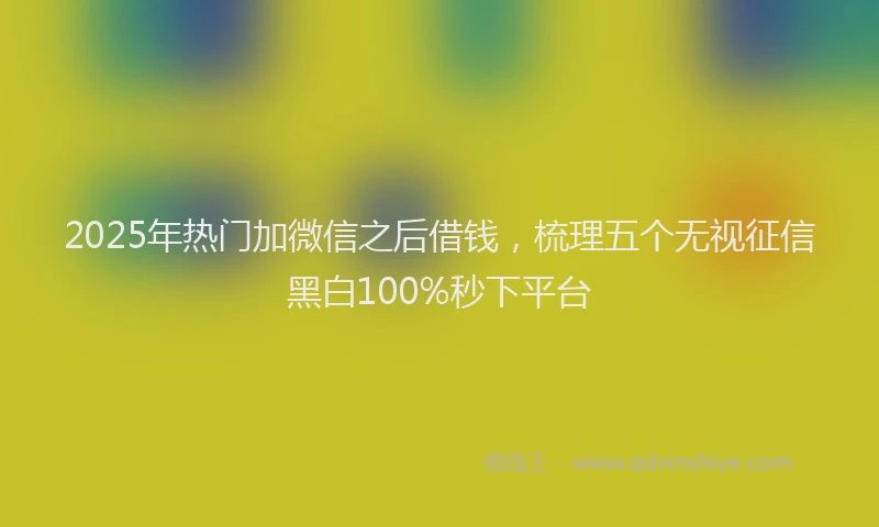 2025年热门加微信之后借钱，梳理五个无视征信黑白100%秒下平台