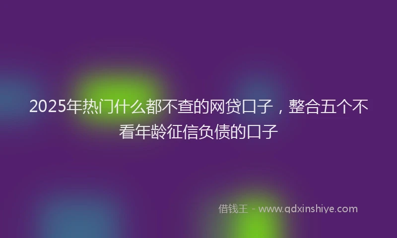 2025年热门什么都不查的网贷口子，整合五个不看年龄征信负债的口子