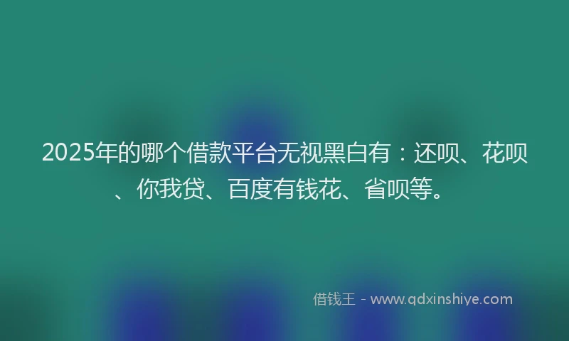 2025年的哪个借款平台无视黑白有：还呗、花呗、你我贷、百度有钱花、省呗等。