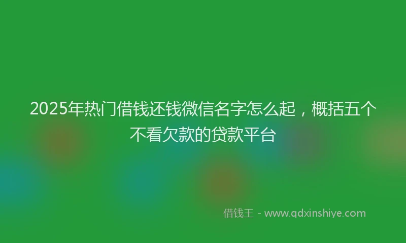2025年热门借钱还钱微信名字怎么起，概括五个不看欠款的贷款平台