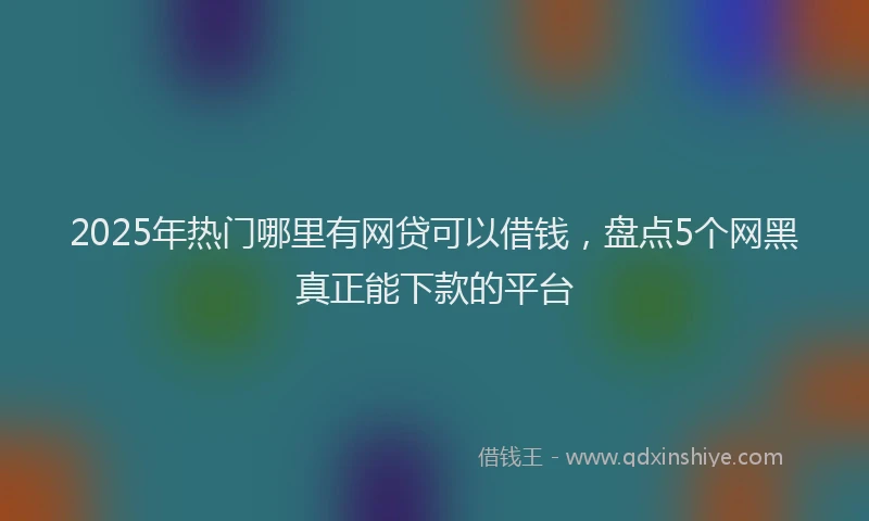 2025年热门哪里有网贷可以借钱，盘点5个网黑真正能下款的平台