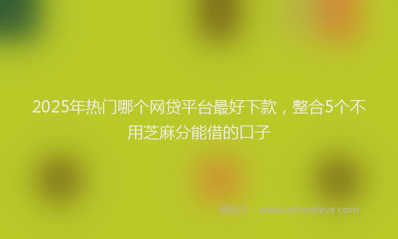 2025年热门哪个网贷平台最好下款，整合5个不用芝麻分能借的口子