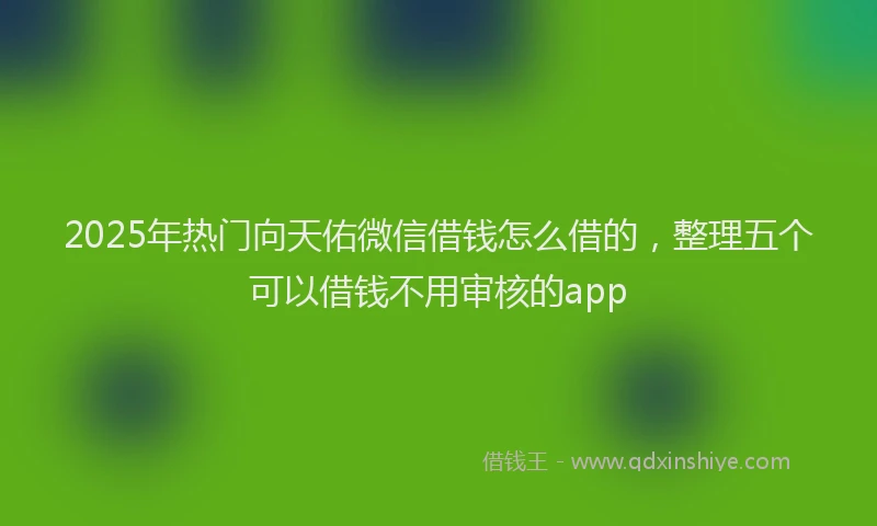 2025年热门向天佑微信借钱怎么借的，整理五个可以借钱不用审核的app
