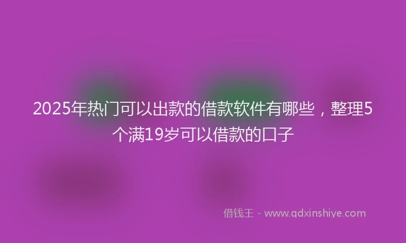 2025年热门可以出款的借款软件有哪些，整理5个满19岁可以借款的口子