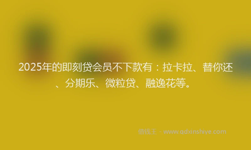2025年的即刻贷会员不下款有：拉卡拉、替你还、分期乐、微粒贷、融逸花等。