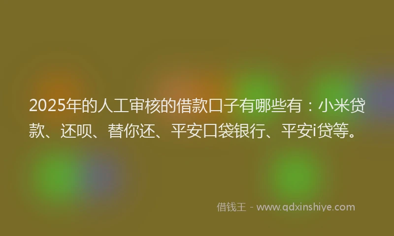 2025年的人工审核的借款口子有哪些有：小米贷款、还呗、替你还、平安口袋银行、平安i贷等。