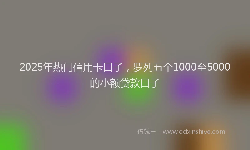 2025年热门信用卡口子，罗列五个1000至5000的小额贷款口子