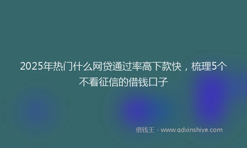 2025年热门什么网贷通过率高下款快，梳理5个不看征信的借钱口子