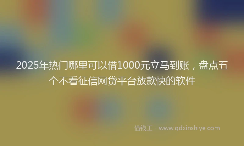 2025年热门哪里可以借1000元立马到账，盘点五个不看征信网贷平台放款快的软件