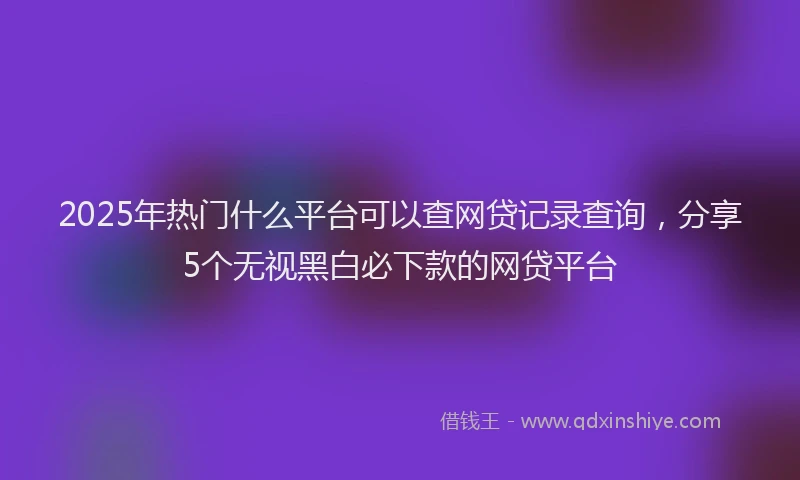 2025年热门什么平台可以查网贷记录查询，分享5个无视黑白必下款的网贷平台