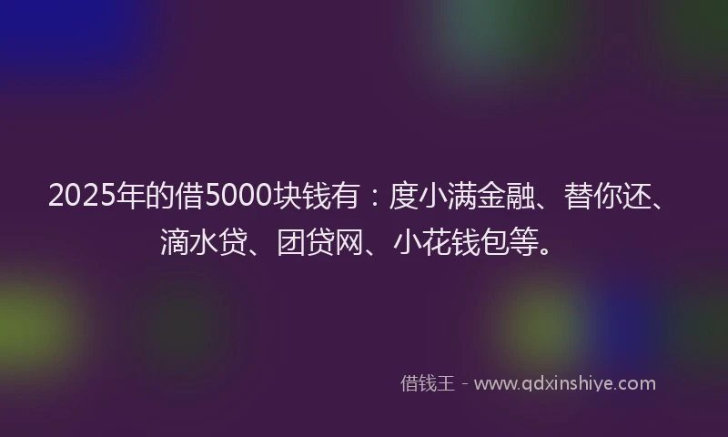 2025年的借5000块钱有：度小满金融、替你还、滴水贷、团贷网、小花钱包等。