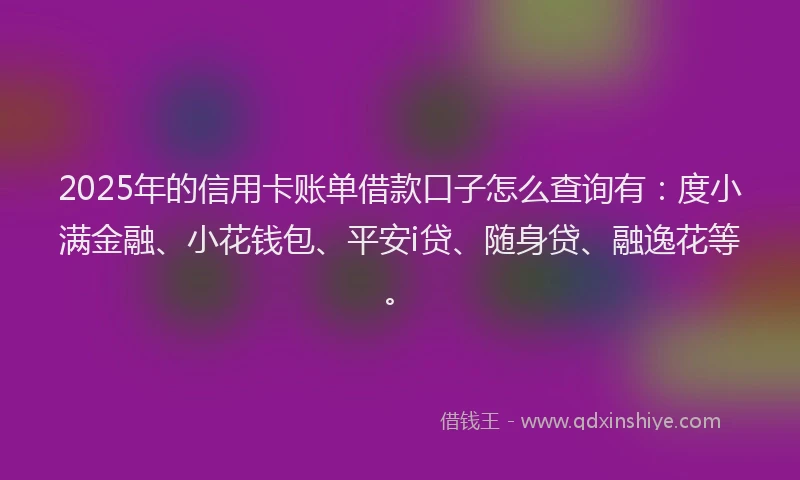 2025年的信用卡账单借款口子怎么查询有：度小满金融、小花钱包、平安i贷、随身贷、融逸花等。