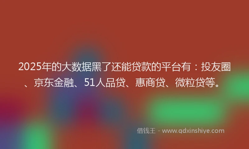 2025年的大数据黑了还能贷款的平台有：投友圈、京东金融、51人品贷、惠商贷、微粒贷等。