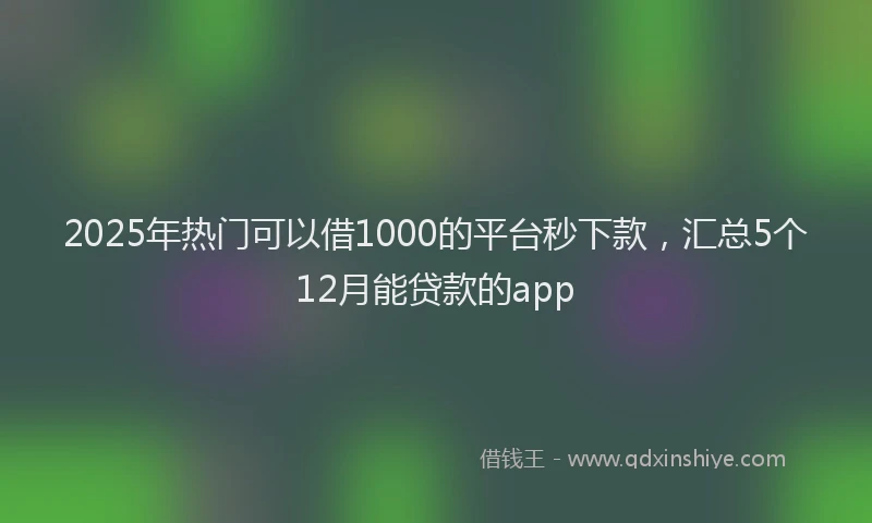 2025年热门可以借1000的平台秒下款，汇总5个12月能贷款的app