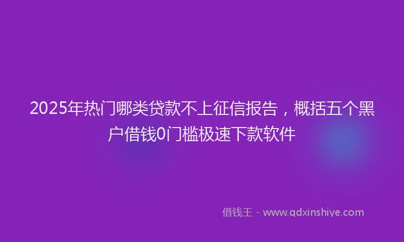 2025年热门哪类贷款不上征信报告，概括五个黑户借钱0门槛极速下款软件