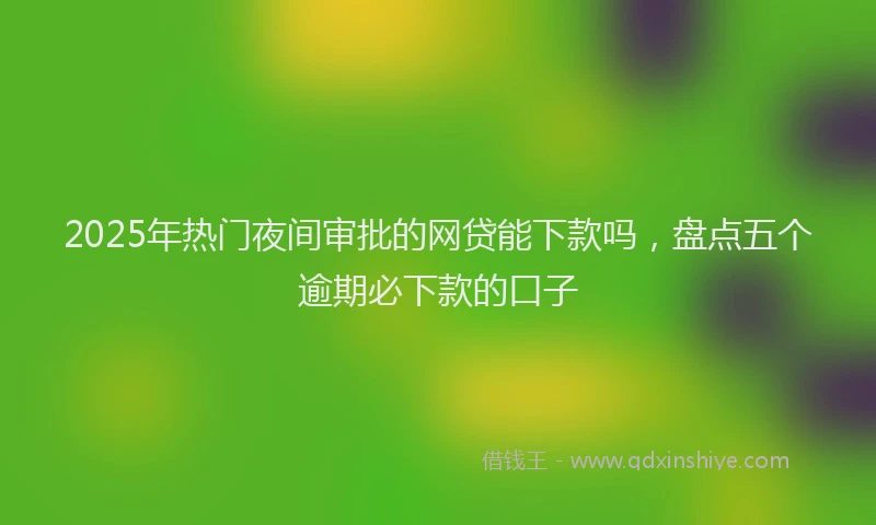 2025年热门夜间审批的网贷能下款吗，盘点五个逾期必下款的口子
