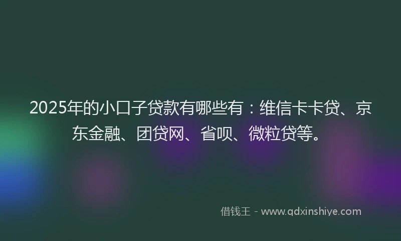 2025年的小口子贷款有哪些有：维信卡卡贷、京东金融、团贷网、省呗、微粒贷等。