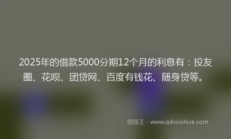 2025年的借款5000分期12个月的利息有：投友圈、花呗、团贷网、百度有钱花、随身贷等。