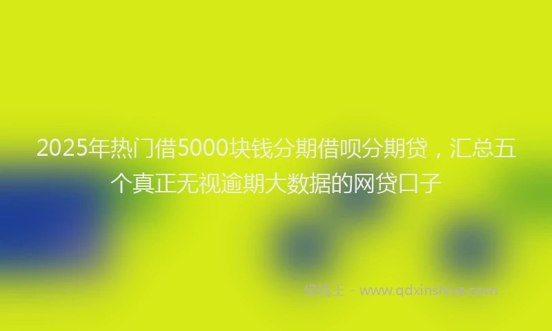 2025年热门借5000块钱分期借呗分期贷，汇总五个真正无视逾期大数据的网贷口子