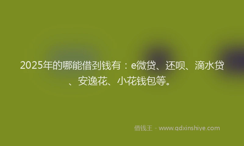2025年的哪能借刭钱有：e微贷、还呗、滴水贷、安逸花、小花钱包等。