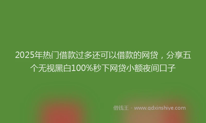 2025年热门借款过多还可以借款的网贷，分享五个无视黑白100%秒下网贷小额夜间口子