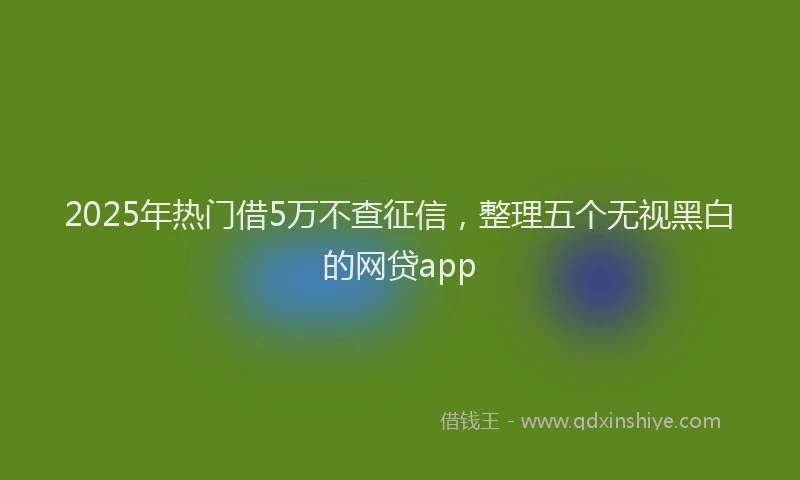 2025年热门借5万不查征信，整理五个无视黑白的网贷app