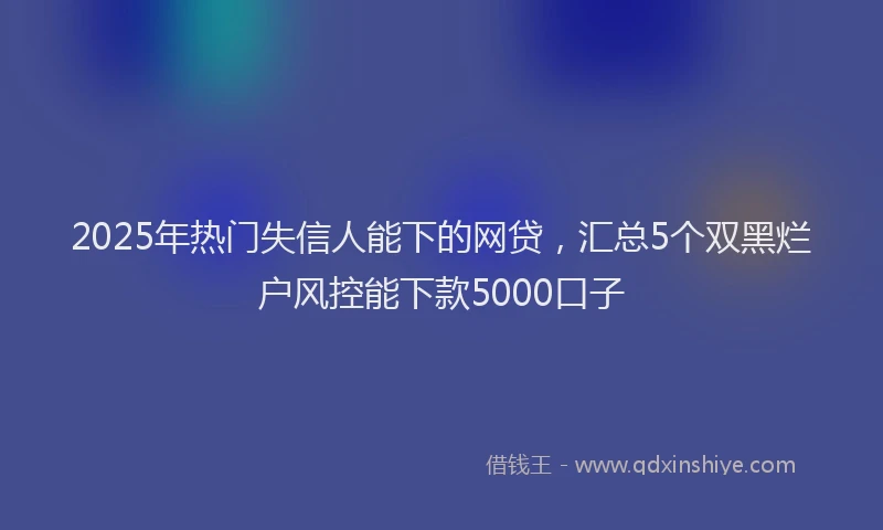 2025年热门失信人能下的网贷，汇总5个双黑烂户风控能下款5000口子