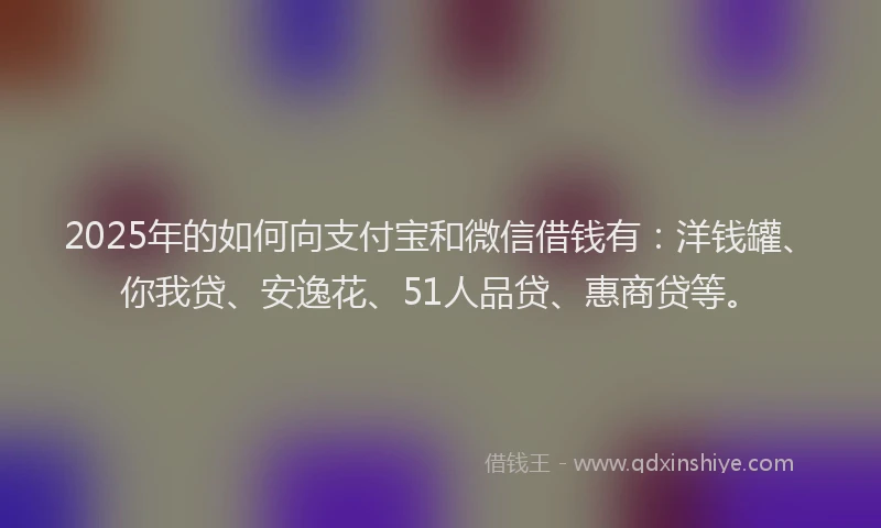 2025年的如何向支付宝和微信借钱有：洋钱罐、你我贷、安逸花、51人品贷、惠商贷等。