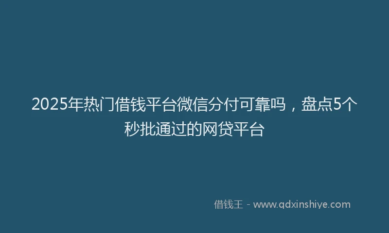 2025年热门借钱平台微信分付可靠吗，盘点5个秒批通过的网贷平台