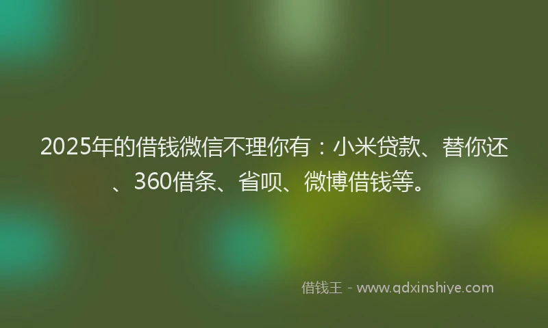 2025年的借钱微信不理你有：小米贷款、替你还、360借条、省呗、微博借钱等。