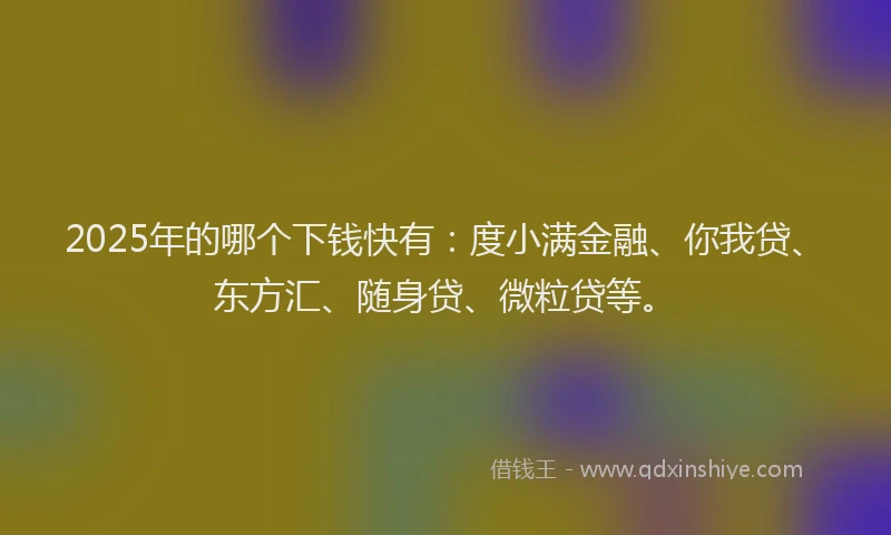 2025年的哪个下钱快有：度小满金融、你我贷、东方汇、随身贷、微粒贷等。