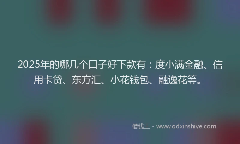 2025年的哪几个口子好下款有：度小满金融、信用卡贷、东方汇、小花钱包、融逸花等。